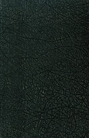 Tunturitulva : nuorisoromaani; Sauli Jalmari antikvariaatti kirja