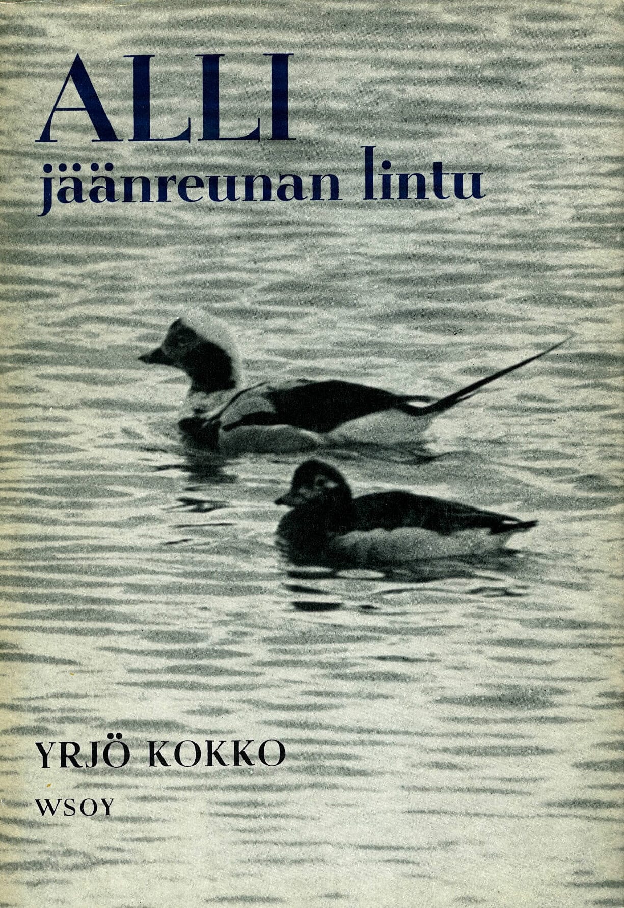 ALLI jäänreunan lintu; Kokko Yrjö antikvariaattikirja